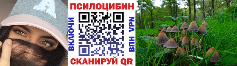 Псилоцибиновые грибы GOLDEN TEACHER Игарка